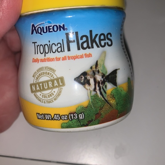 Beta fish Mini tank bundle, filters, food, decorations, mini tank - Picture 7 of 13